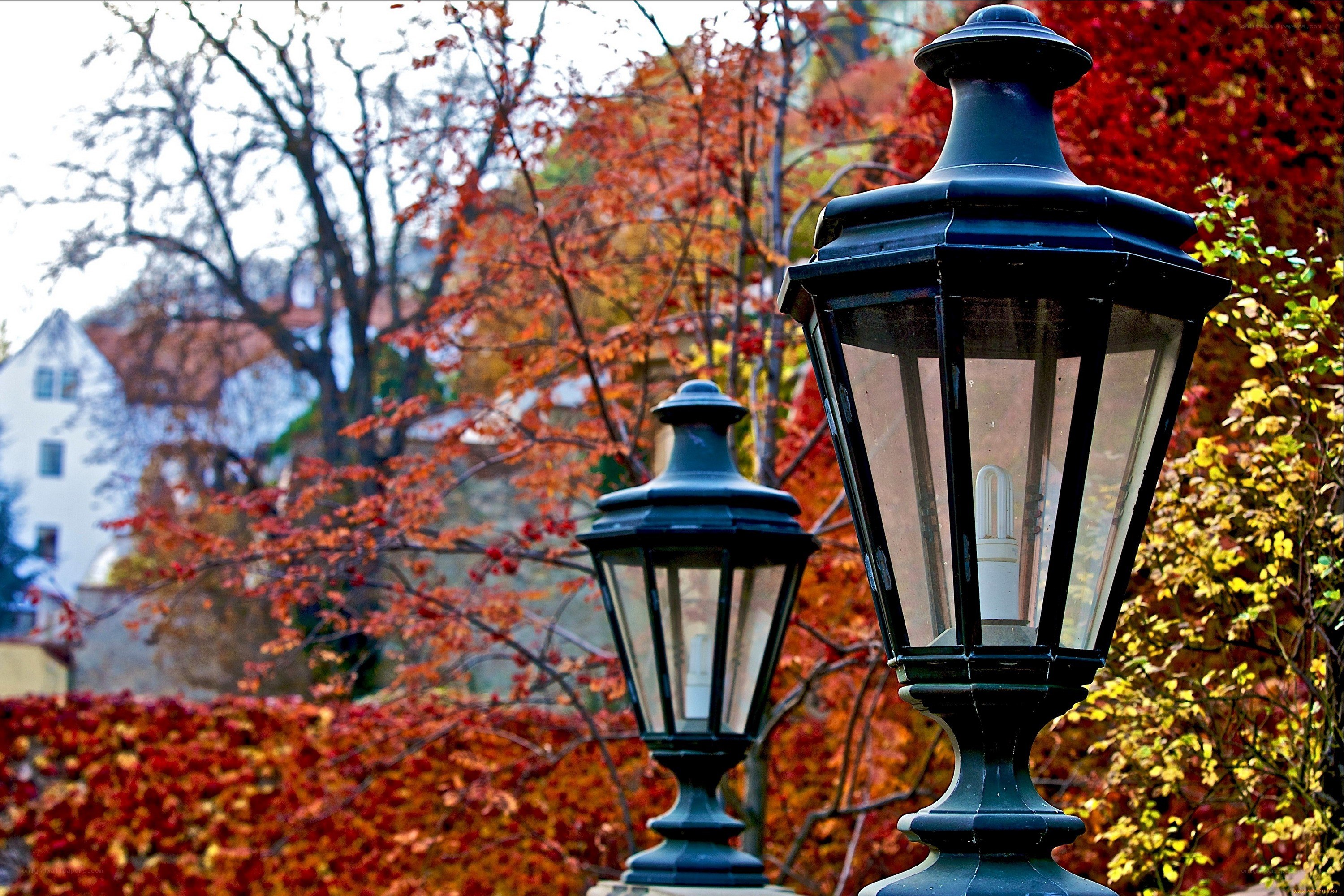 Autumn lanterns in a park