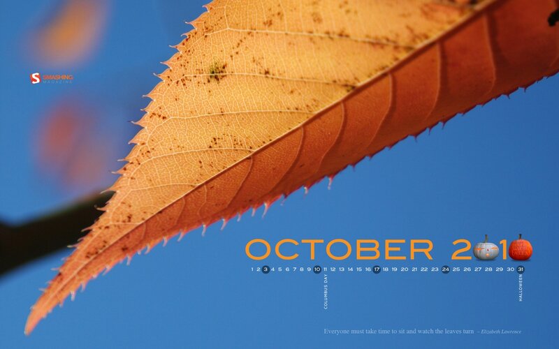 Autumn Leaf Against Blue Sky — Serene