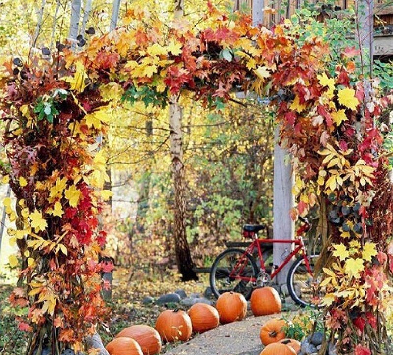 Autumn Leaf Arch