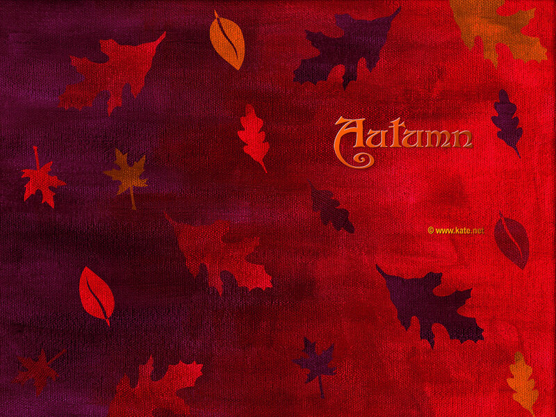 Autumn leaf background