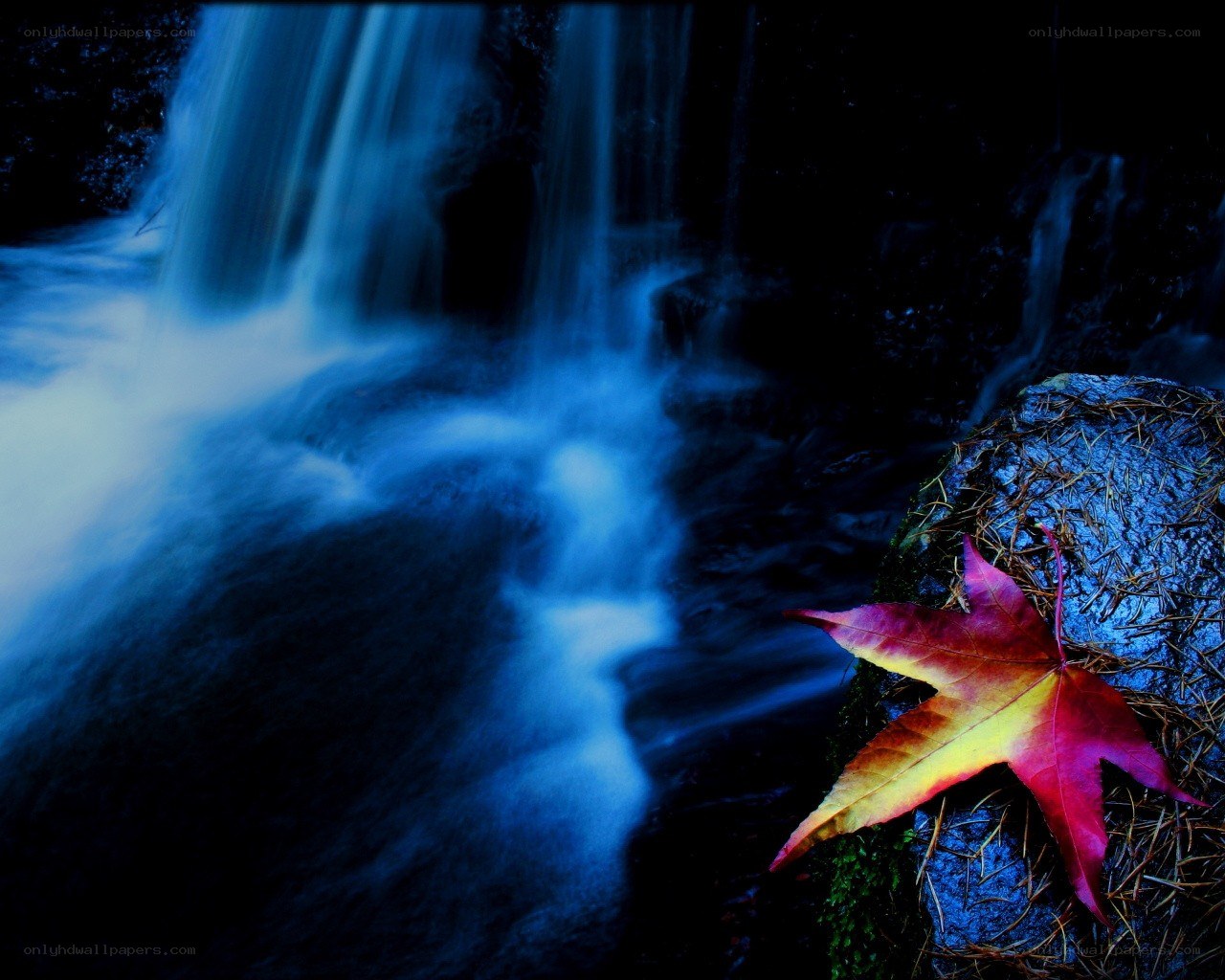 Autumn leaf by a waterfall