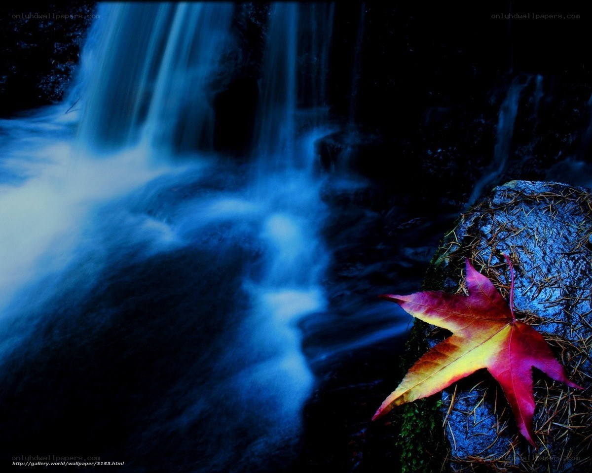 Autumn leaf by a waterfall
