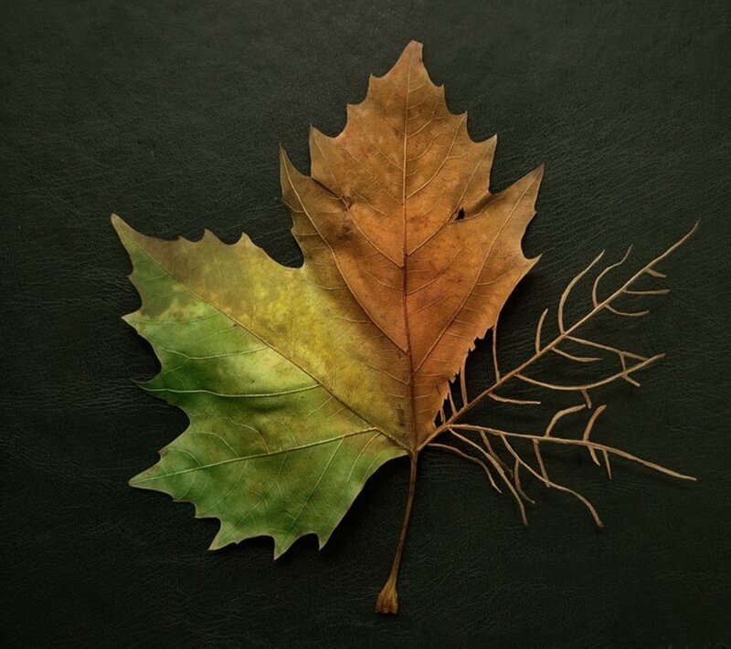 Autumn Leaf Collage — Green