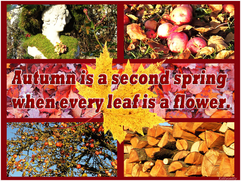 Autumn Leaf Collage