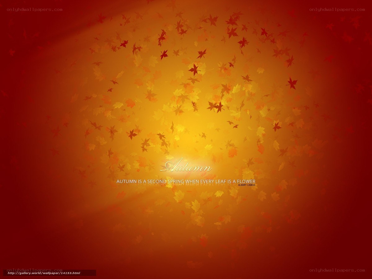 Autumn leaf fall