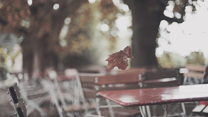 Autumn leaf falling on a table