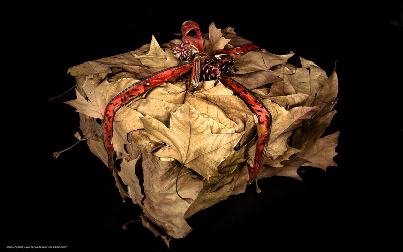 Autumn leaf gift box
