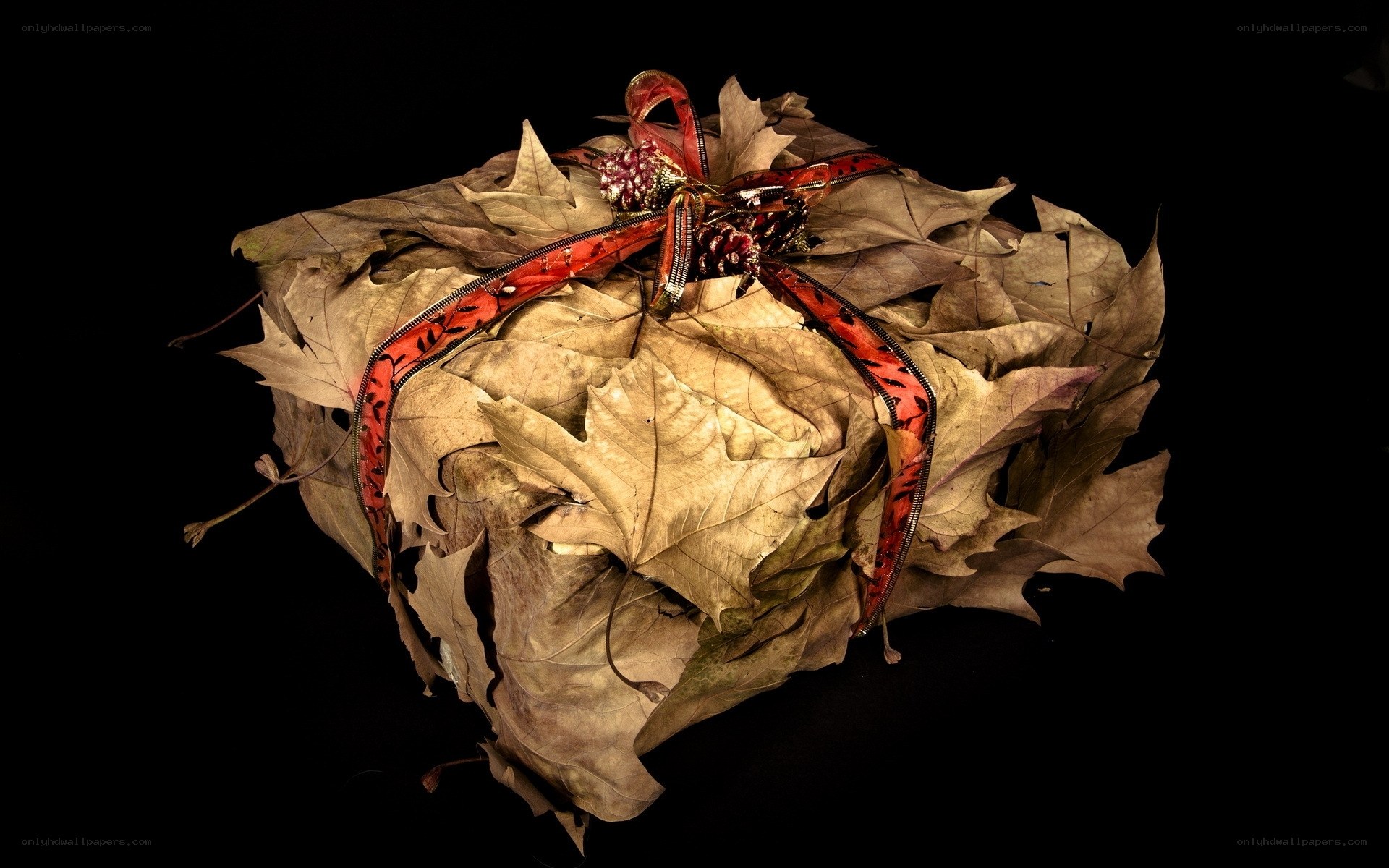Autumn leaf gift box