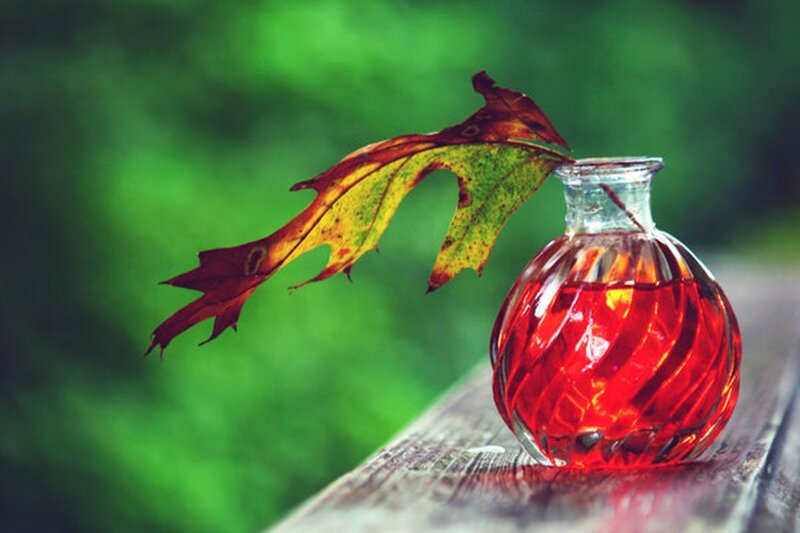 Autumn Leaf in Glass Bottle