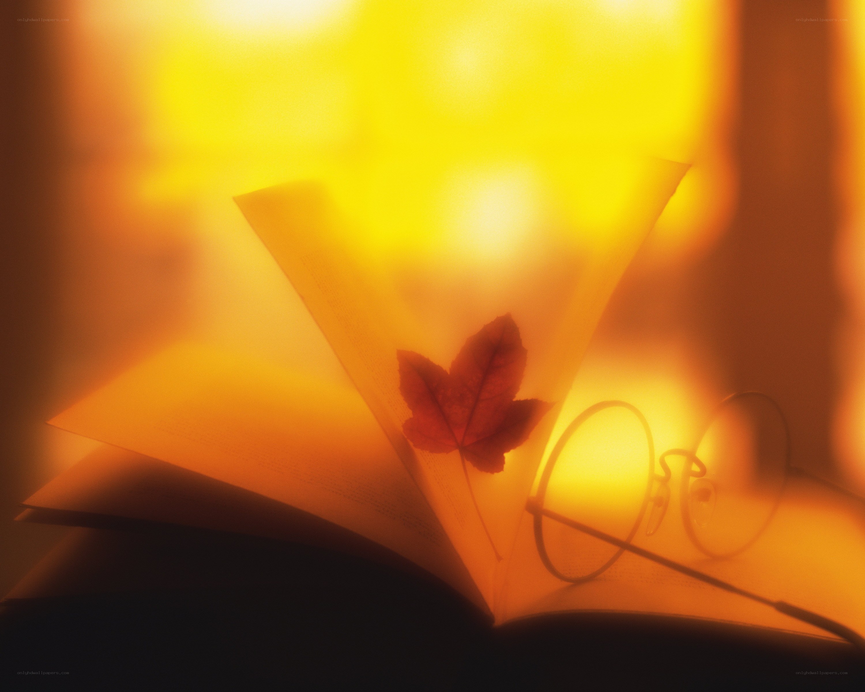 autumn leaf in open book