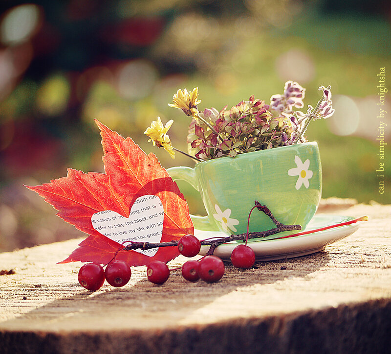 Autumn Leaf in Teacup