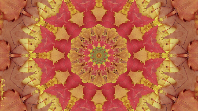 Autumn Leaf Mandala