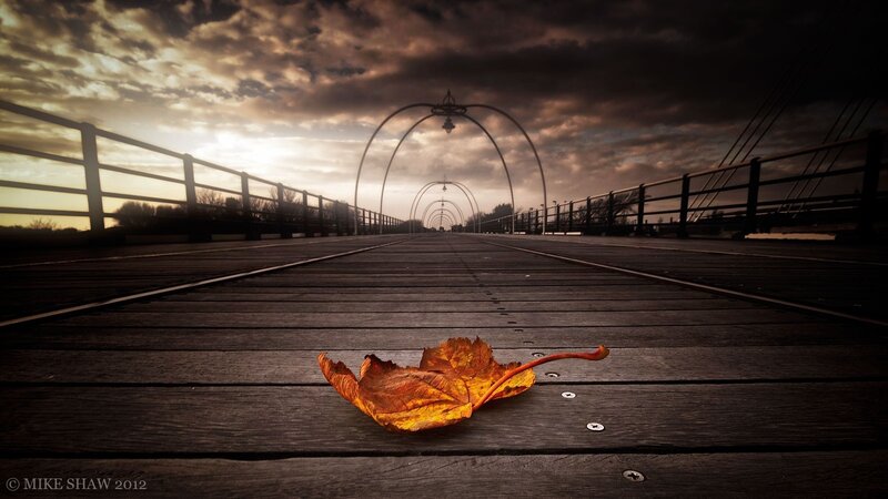 Autumn Leaf on Bridge