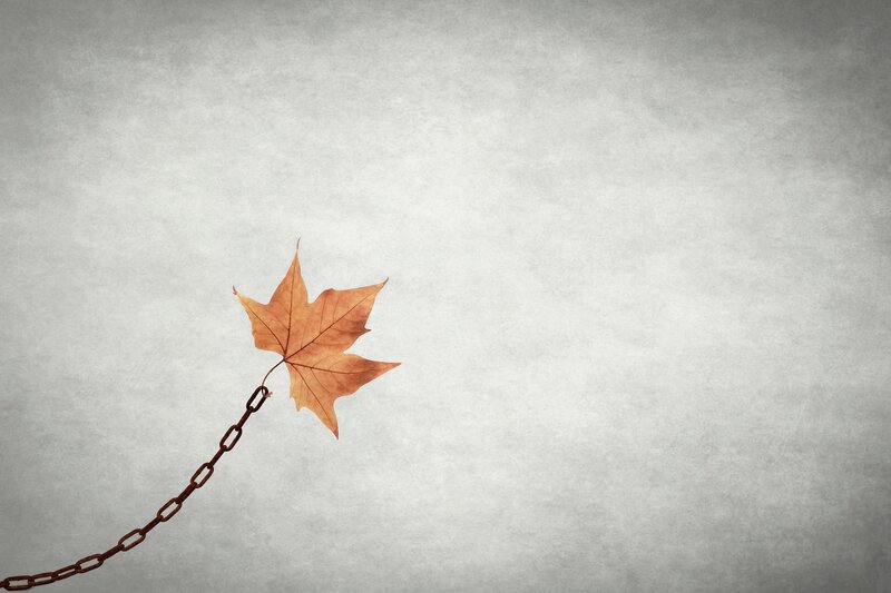 Autumn Leaf on Chain