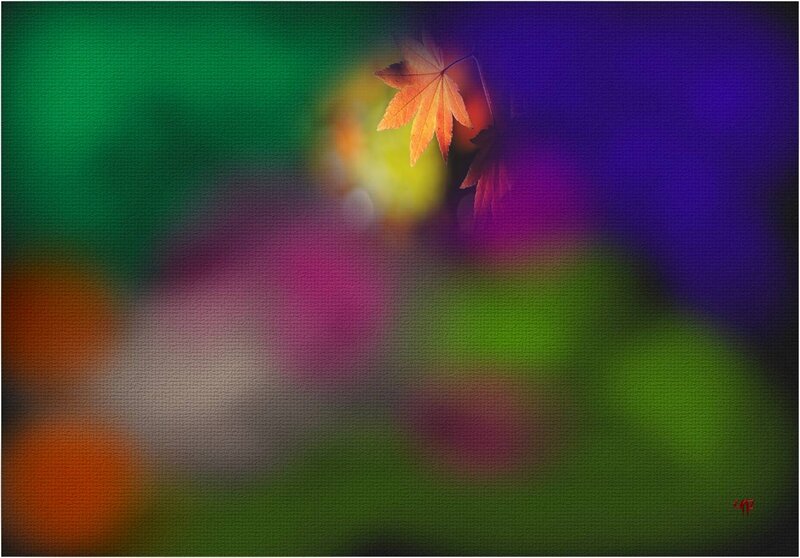 Autumn Leaf on Colorful Background