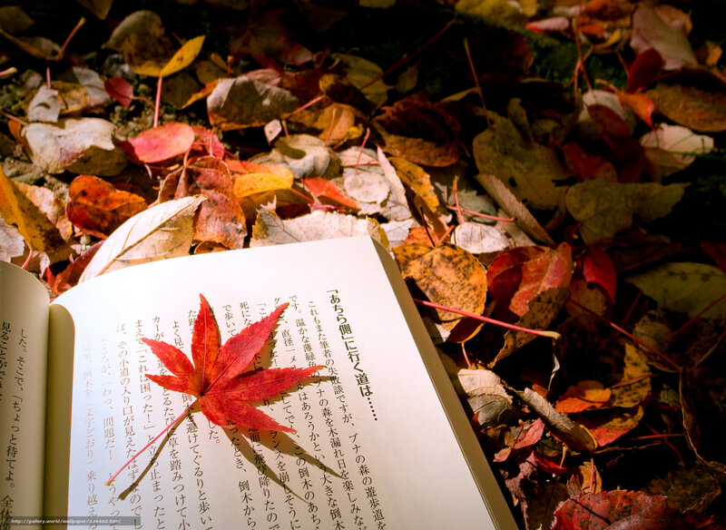 autumn leaf on open book