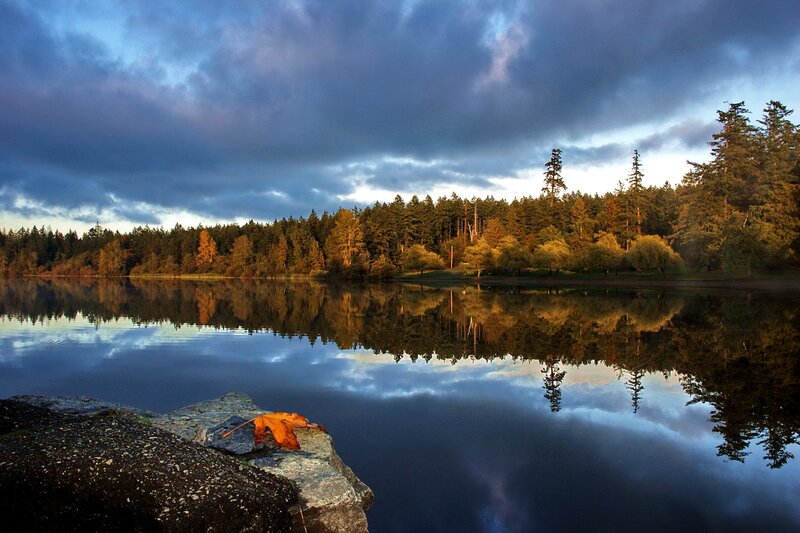 Autumn Leaf on Rock — Blue