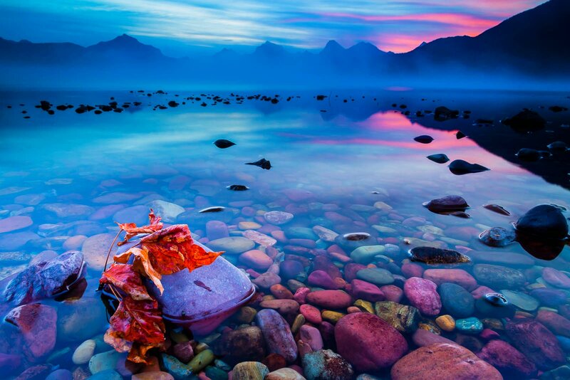 Autumn Leaf on Rocks — Blue