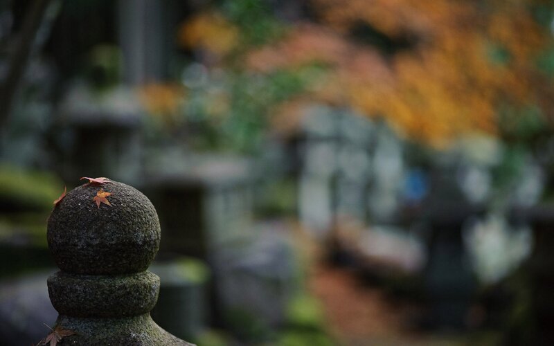 autumn leaf on stone post