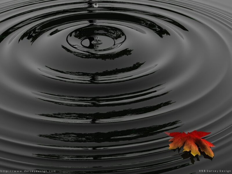 Autumn Leaf on Water — Black