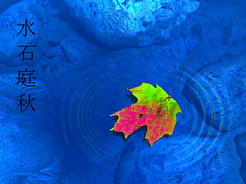 Autumn Leaf on Water — Blue, Serene, Digital Art