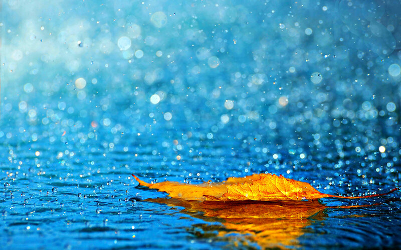 Autumn Leaf on Water — Blue, Serene, Photograph, Raindrops
