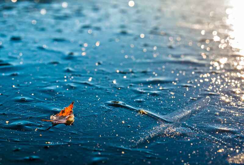 Autumn Leaf on Water — Blue, Serene, Sunset