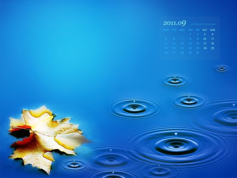 Autumn Leaf on Water — Blue, Serene