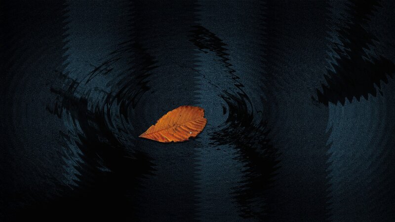 Autumn Leaf on Water — Orange, Serene, Night
