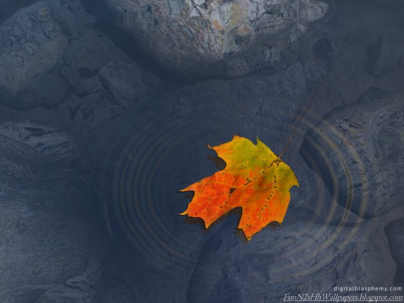 Autumn Leaf on Water — Orange, Serene