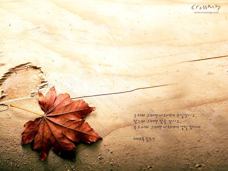 Autumn leaf on wood