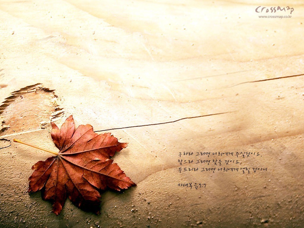 Autumn leaf on wood