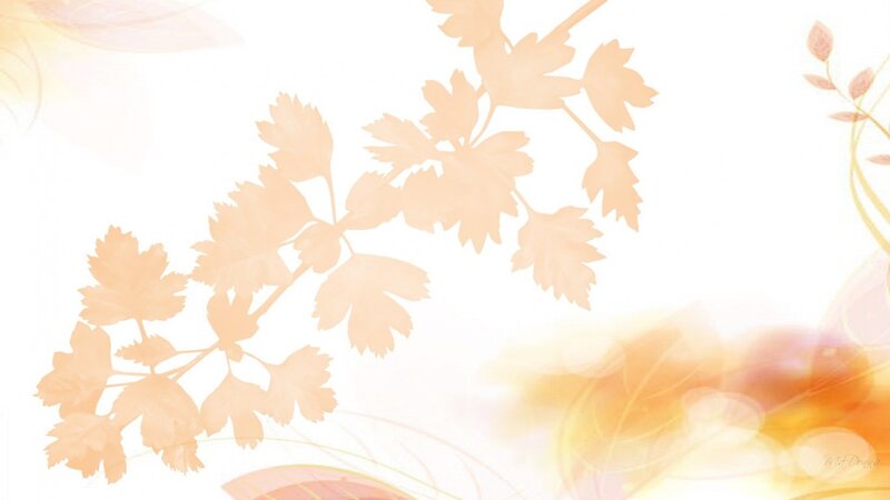 autumn leaf silhouette design