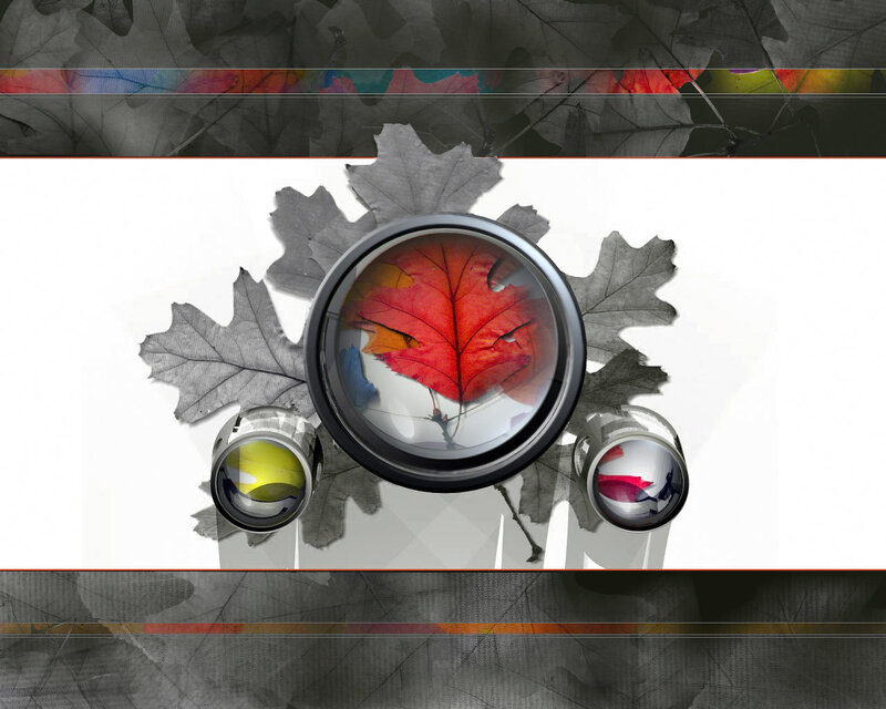 autumn leaf through lenses