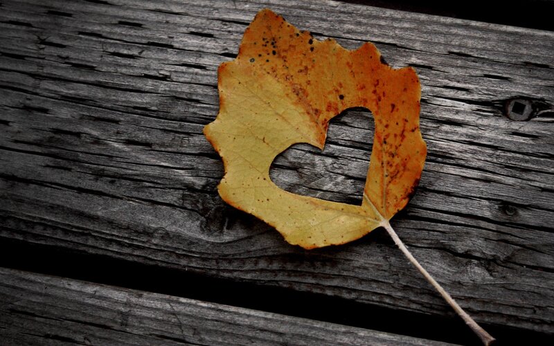 Autumn leaf with heart cutout