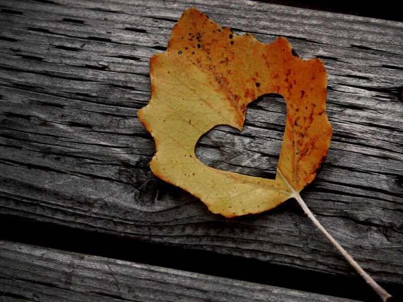 Autumn Leaf with Heart Cutout — Yellow