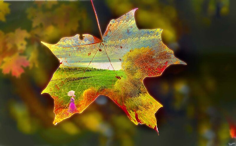 Autumn Leaf with Landscape