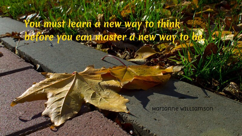 autumn leaf with quote