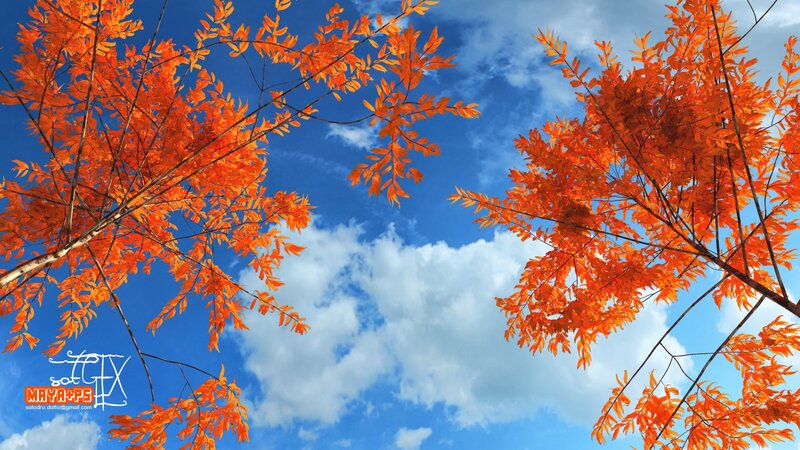 Autumn leaves against blue sky