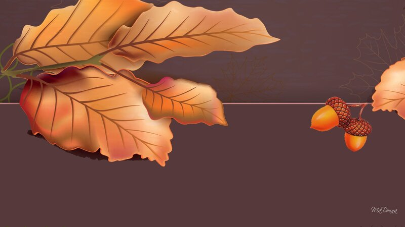 Autumn Leaves and Acorns — Brown