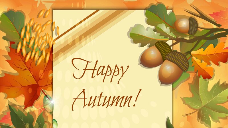 Autumn Leaves and Acorns — Orange