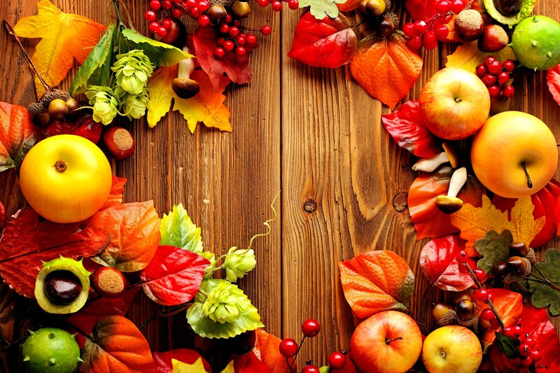 Autumn Leaves and Apples — Brown, Harvest