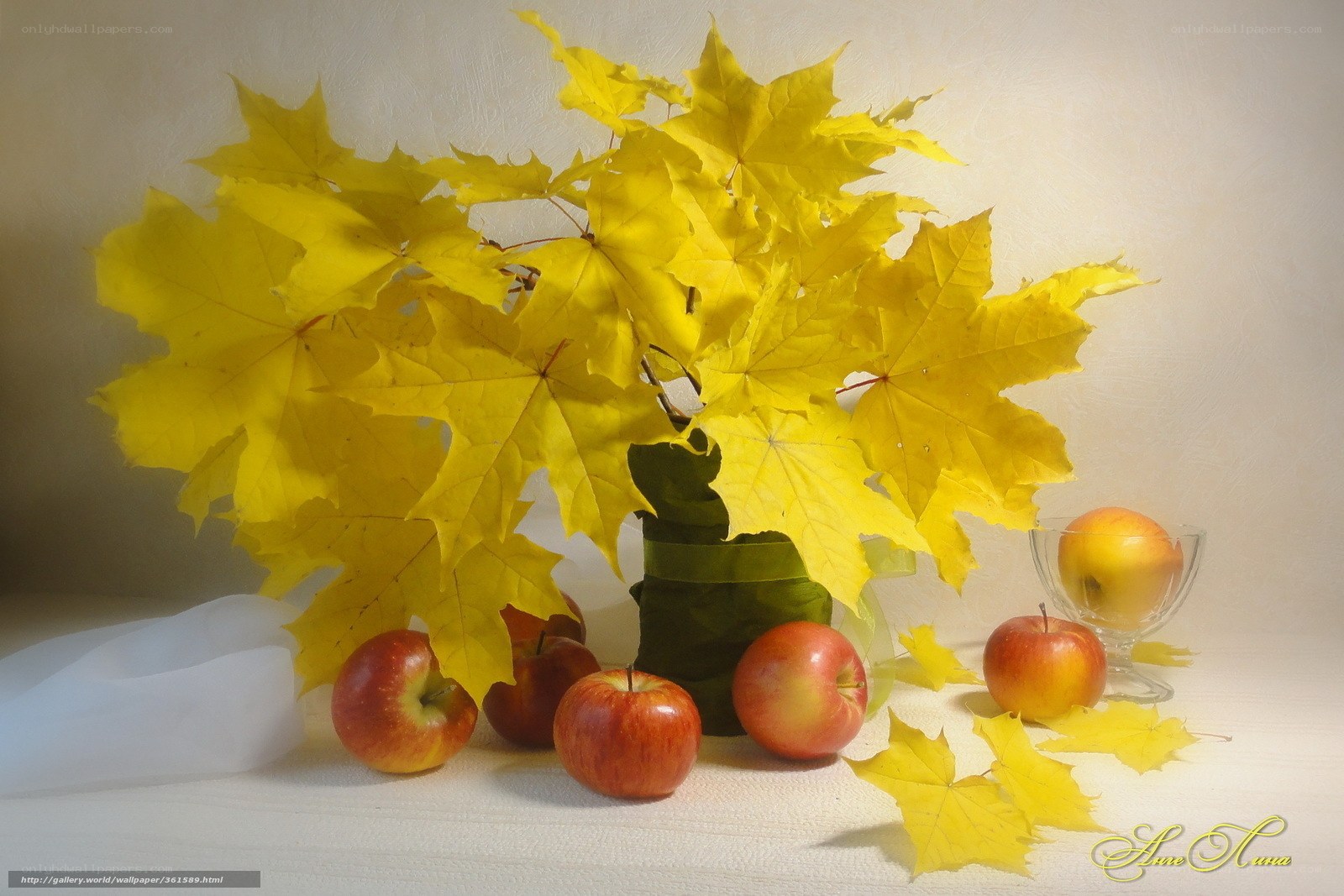 Autumn leaves and apples