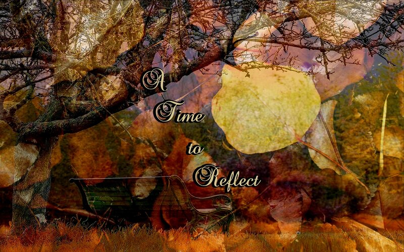 Autumn Leaves and Bench