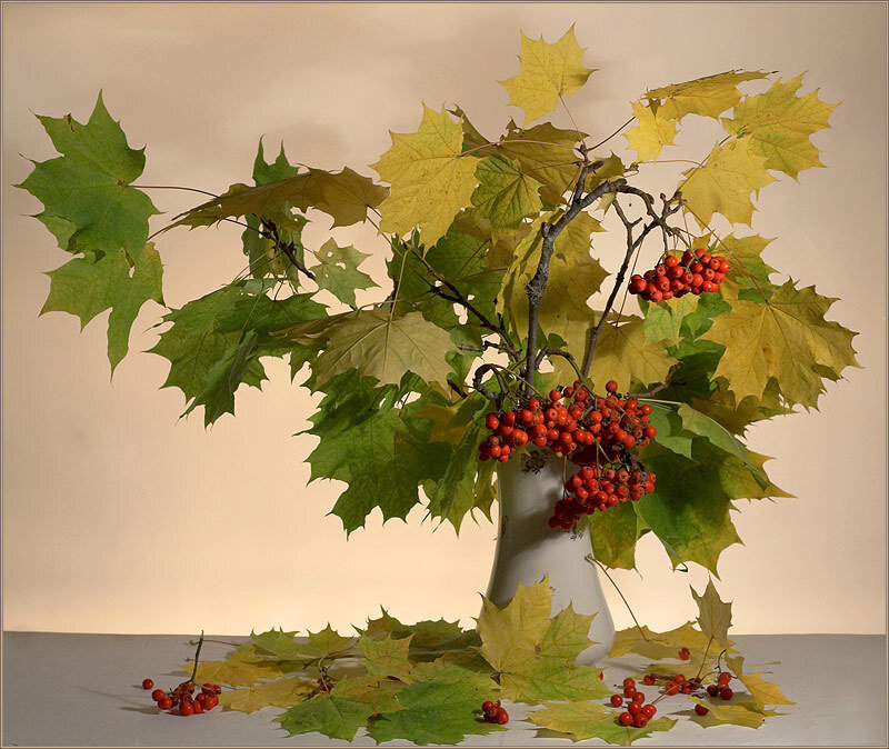 autumn leaves and berries