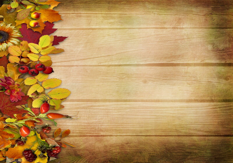 Autumn Leaves and Berries — Brown, Calm