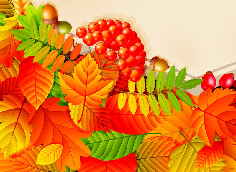 Autumn Leaves and Berries — Orange, Festive, Illustration