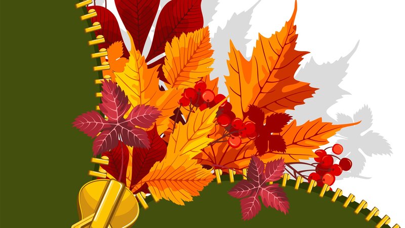 Autumn Leaves and Berries — Orange, Festive