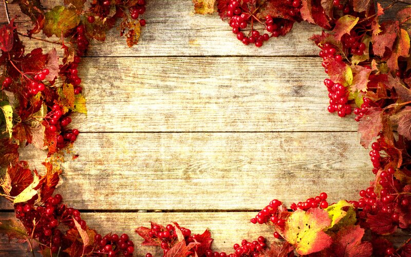 Autumn Leaves and Berries — Red, Calm, Photograph, Wood