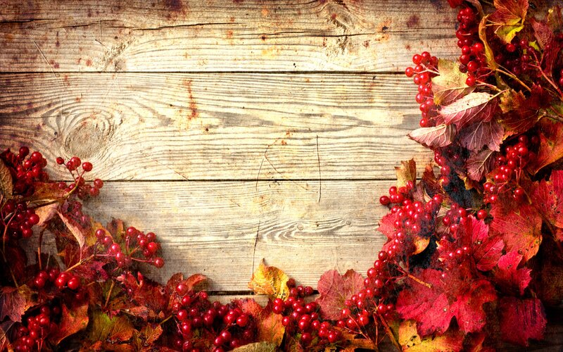 Autumn Leaves and Berries — Red, Rustic
